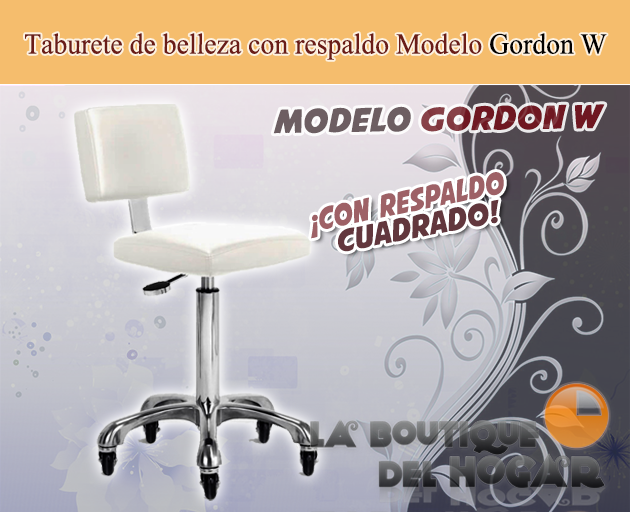 Taburetes con Respaldo con 5 Ruedas Regulables en Altura Modelo Gordon W